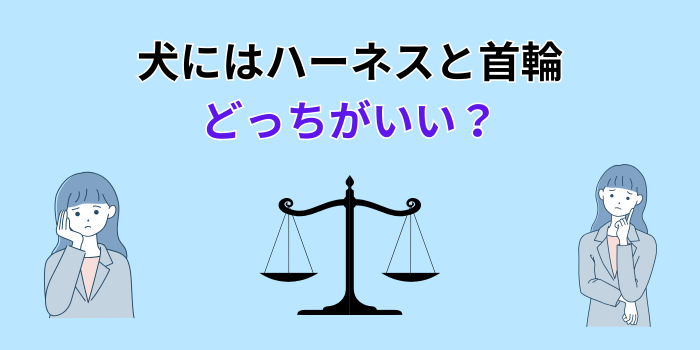 犬 ハーネスと首輪 どっちがいい