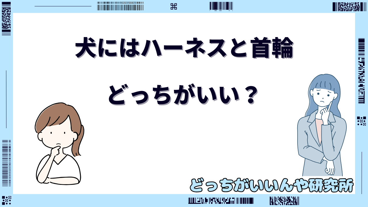 犬 ハーネスと首輪 どっちがいい